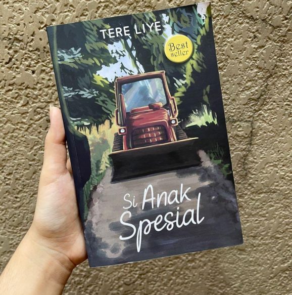 cover novel si anak spesial